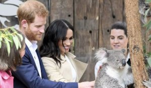 Australie: Harry et Meghan rencontrent des koalas