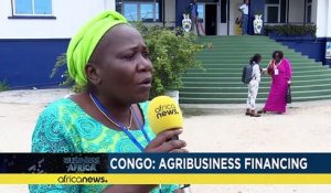 Congo : appels aux financements de l'agro-industrie