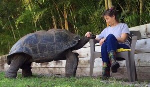 Elle a pour animal de compagnie  une tortue géante qui adore les calins
