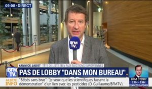 Pour Yannick Jadot (EELV), "Les lobbyistes sont aussi au gouvernement"