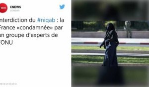 Interdiction du niqab : la France "condamnée" par un groupe d'experts de l'ONU