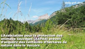 Ils veulent acheter 500 hectars de forêts dans le Vercors pour les préserver