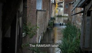Pont-Audemer, lauréate du label « Ville des zones humides » - Convention de Ramsar