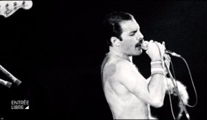 Freddie Mercury, you rock !