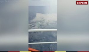 Indonésie : un vol de Lion Air avec 189 personnes à bord s'abîme en mer