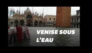 Les images de Venise sous l'eau après des inondations historiques