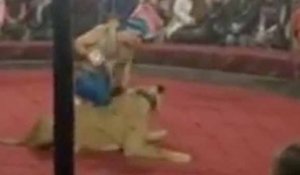 Une lionne d'un cirque se jette sur une fillette de 4 ans