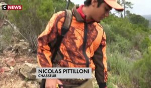 Corse : les chasseurs affirment être essentiels pour réguler la population de sangliers