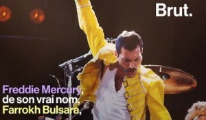 Une vie : Freddie Mercury