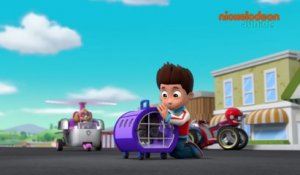 Paw Patrol : la Pat'Patrouille | Bat Patrouille | NICKELODEON JUNIOR