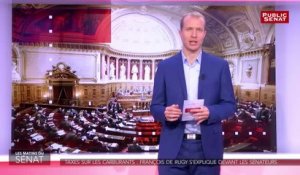 Taxes sur les carburants : François de Rugy s'explique devant le Sénat - Les matins du Sénat (12/11/2018)