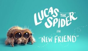 Lucas l'araignée la plus mignonne du Web est de retour !
