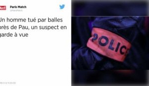 Un homme tué par balles près de Pau : un suspect en garde à vue.
