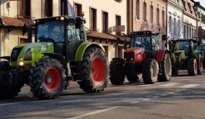 Sarreguemines : 31 tracteurs en cortège vers la sous-préfecture
