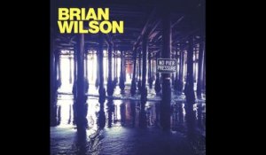 Brian Wilson - Guess You Had To Be There