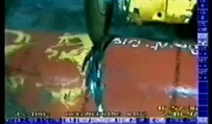Un crabe aspiré à travers une découpe dans un tuyau