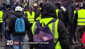 Manifestation à Paris : un "acte 5" plus calme dans la capitale