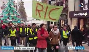 Les "gilets jaunes" se battent pour le référendum d'initiative citoyenne (RIC)