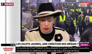 Morandini Live : pourquoi Geneviève de Fontenay n’est plus gilet jaune (vidéo)