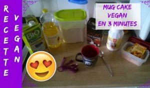 Recette Vegan 14 - Mug Cake au Chocolat en 3 minutes