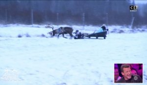 Accident dans Baba en Laponie : la course de rennes tourne à la catastrophe !