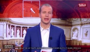 Projet de loi "gilets jaunes" : l'audition d'agnès buzyn et muriel pénicaud - Les matins du Sénat (20/12/2018)