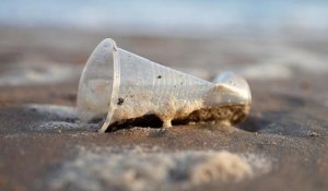 Plastiques à usage unique : L'UE donne l'exemple
