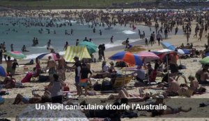 L'Australie étouffe sous la canicule