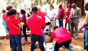 L'ambassade des États-Unis en Guinée participe à l'assainissement du jardin 2 octobre