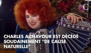 RETRO 2018. France Gall, Charles Aznavour, Avicii : ces stars qui sont mortes cette année