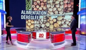 Réchauffement climatique : une modification de notre alimentation