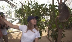 WTA - Simona Halep prend un selfie avec un koala