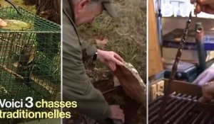 3 chasses traditionnelles que les défenseurs des animaux veulent interdire