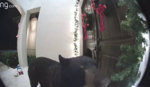 Cet ours sonne à la porte d'une maison !