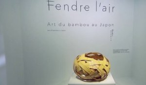 Visite guidée - Fendre l’air au quai Branly