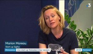 Rhinocéros : une start-up française à leur secours