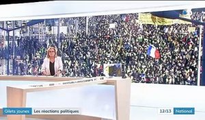 "Gilets jaunes" : les réactions politiques après le neuvième samedi de mobilisation