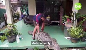 Cette famille indonésienne vie avec un crocodile dans leur maison