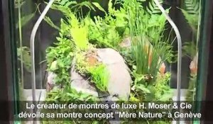 'Mère Nature', montre végétale présentée à Genève