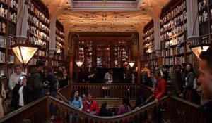 Harry Potter fait partie des "fantômes" de la librairie Lello de Porto