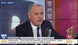 Didier Guillaume: "les jeunes qui sortent de boîte de nuit ne sont pas saouls parce qu'ils ont bu du Côtes-du-Rhône"