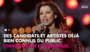 Destination Eurovision 2019 : Emmanuel Moire sélectionné pour la finale