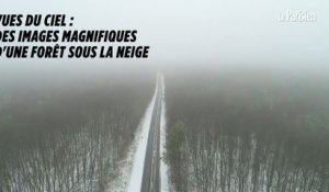 La forêt de Rambouillet sous la neige, filmée depuis un drone