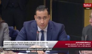 L'audition d'alexandre benalla devant la commission d'enquête du sénat - Les matins du Sénat (22/01/2019)