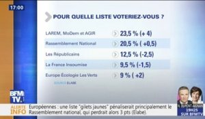 Sondage BFMTV: quelles sont les intentions de vote des Français pour les européennes?