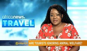 Les touristes influencent-ils le bien-être des animaux ?