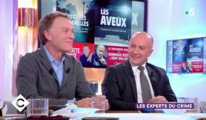 Les experts du crime ! - C à Vous - 25/01/2019