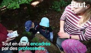 Danemark : la forêt pour salle de classe