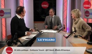 "Emmanuel Macron est à la tête d'un parti virtuel sans fédérations dans les départements et sans élus locaux" Nadine Morano (29/01/19)