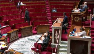 2ème séance : Questions au Gouvernement ; Discussion de la proposition de loi relative au délai d'intervention du juge des libertés et de la détention en rétention administrative à Mayotte  - Mardi 29 janvier 2019